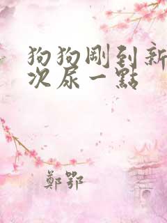 狗狗刚到新家一次尿一点