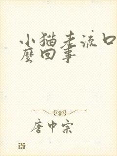 小猫老流口水怎么回事