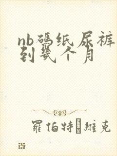 nb码纸尿裤用到几个月