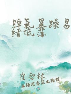 脾气暴躁易怒情绪低落