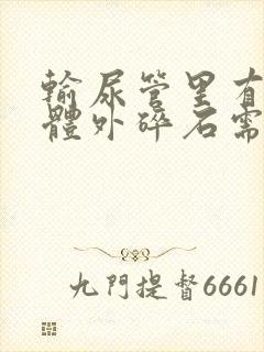 输尿管里有结石体外碎石需要多少钱