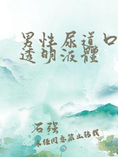 男性尿道口无色透明液体