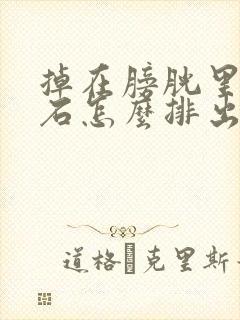 掉在膀胱里的结石怎么排出