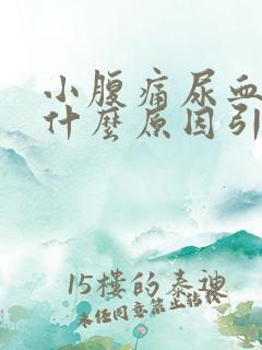 小腹痛尿血女性什么原因引起的