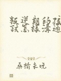 叛逆期的孩子应该怎样沟通