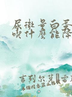 尿微量白蛋白高吃什么能降下去