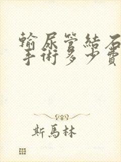 输尿管结石微创手术多少费用