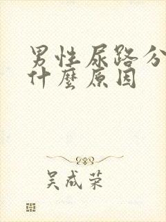 男性尿路分叉是什么原因