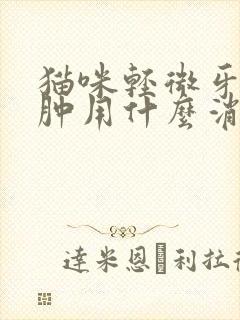 猫咪轻微牙龈红肿用什么消炎药