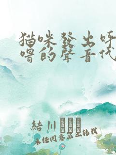 猫咪发出呼噜呼噜的声音代表什么意思