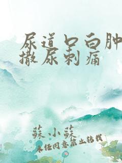 尿道口白肿流脓撒尿刺痛