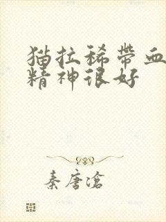 猫拉稀带血但是精神很好