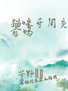 猫咪牙周炎能自愈吗