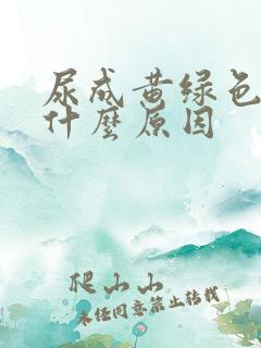 尿成黄绿色的是什么原因