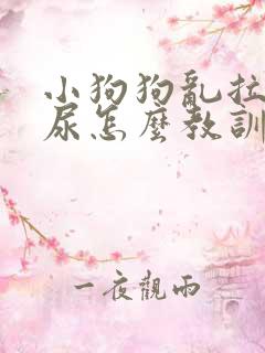 小狗狗乱拉屎拉尿怎么教训