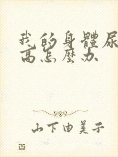 我的身体尿蛋白高怎么办