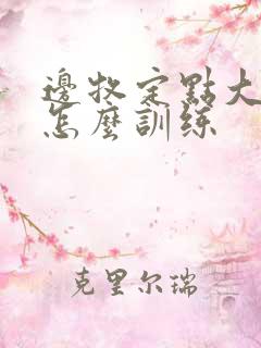 边牧定点大小便怎么训练