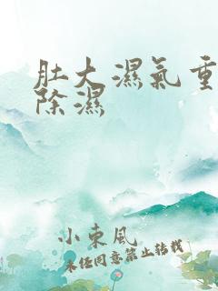 肚大湿气重怎么除湿