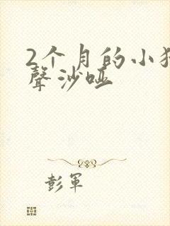 2个月的小猫叫声沙哑