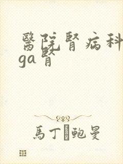 医院肾病科看iga肾