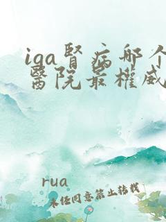 iga肾病哪个医院最权威