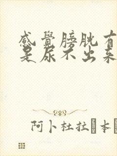 感觉膀胱有尿但是尿不出来怎么办