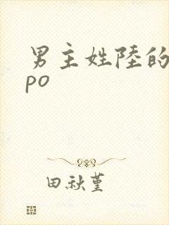 男主姓陆的古言po