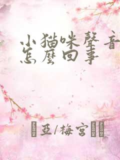 小猫咪声音沙哑怎么回事