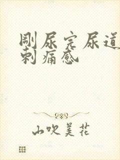 刚尿完尿道口有刺痛感