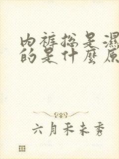 内裤总是湿漉漉的是什么原因怎么办