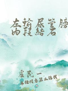 左输尿管膀胱壁内段结石