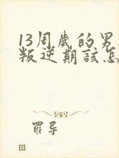 13周岁的男孩叛逆期该怎么办