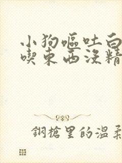 小狗呕吐白沫不吃东西没精神怎么办