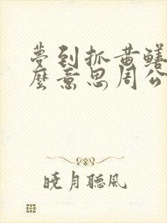 梦到抓黄鳝是什么意思周公解梦