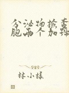 分泌物检查白细胞两个加号