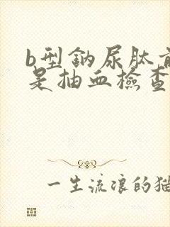 b型钠尿肽前体是抽血检查吗