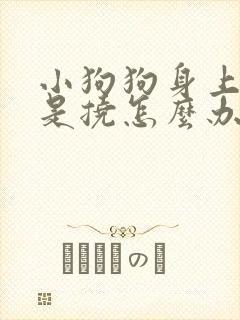 小狗狗身上痒总是挠怎么办