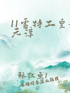 11处特工皇妃元淳