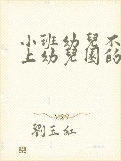 小班幼儿不愿意上幼儿园的原因