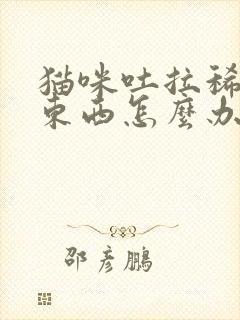 猫咪吐拉稀不吃东西怎么办