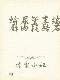 输尿管末端膀胱壁内段结石