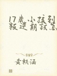 17岁小孩到了叛逆期该怎么教育