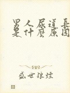 男人尿道长水泡是什么原因