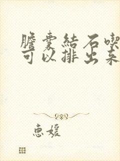 胆囊结石吃啥药可以排出来