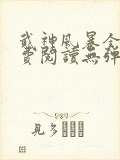 武神风暴全文免费阅读无弹窗笔趣阁