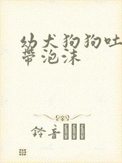 幼犬狗狗吐黄水带泡沫