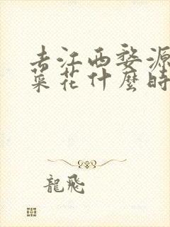 去江西婺源看油菜花什么时间最好