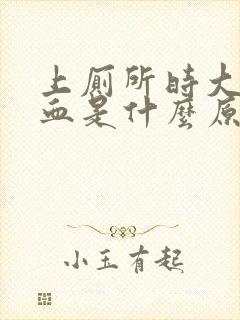 上厕所时大量出血是什么原因