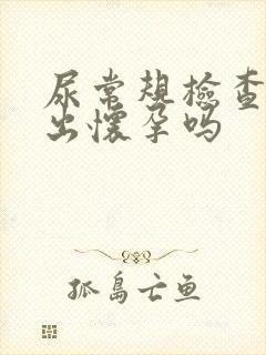 尿常规检查能查出怀孕吗