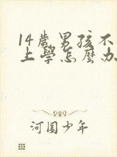 14岁男孩不去上学怎么办